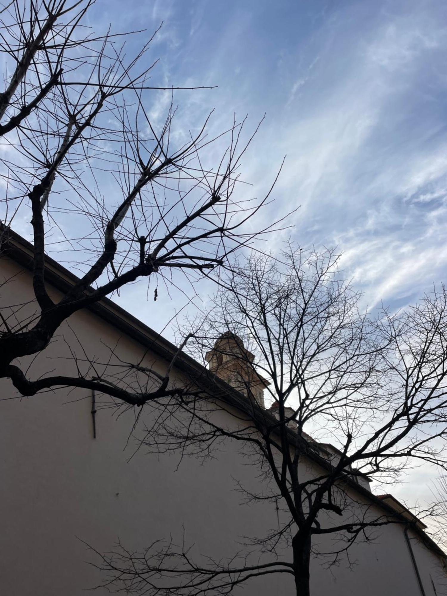 Apartamento Bistrot Del Mare Santo Stefano al Mare Exterior foto