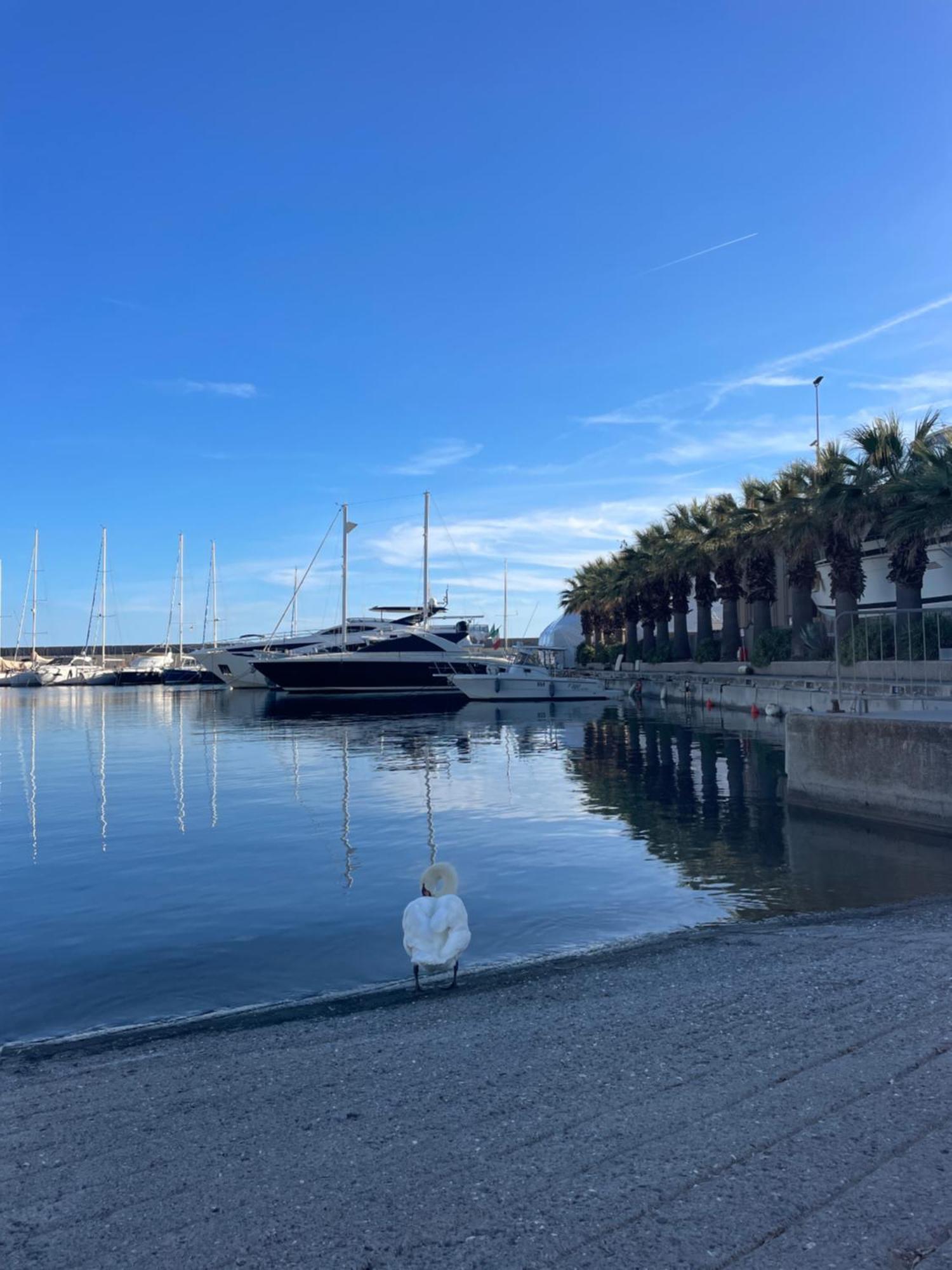 Apartamento Bistrot Del Mare Santo Stefano al Mare Exterior foto